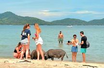 koh samui:Pig Island and Koh Tan Local Longtail Boat with Snorkel