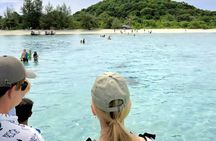 koh samui:Pig Island and Koh Tan Local Longtail Boat with Snorkel