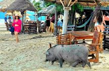 Pig Island & Koh Tan Half-Day Sunset Tour by Join Longtail Boat