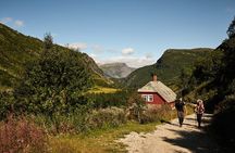 Explore Norway's Mountains (1 Day) by Electric Bicycle + Train