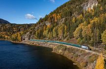 Explore Norway's Mountains (1 Day) by Electric Bicycle + Train