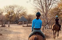 Village Horse Riding & Cultural Experience near Victoria Falls”