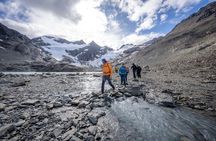 Trekking to Vinciguerra Glacier and Laguna de los Témpanos 