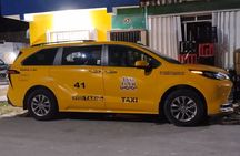 Costa Maya Tour with Fishermans Village Beach Club Visit