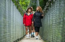 The Mighty Arenal Volcano: Hanging Bridges & Hot springs