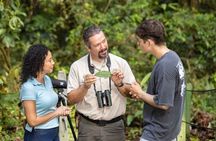 Arenal Rainforest & Thermal Escape