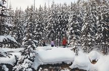 Johnston and Marble Canyon Winter Tour