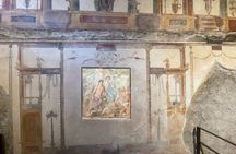 Pompeii Small Group Guided Tour from Salerno Port
