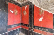 Pompeii Small Group Guided Tour from Salerno Port