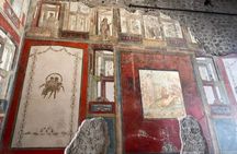 Pompeii Small Group Guided Tour from Salerno Port