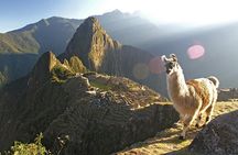 One Day Inca Trail Challenge to Machu Picchu with Lunch