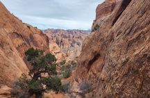 Bow and Arrow Canyon Hike and Rappel Adventure