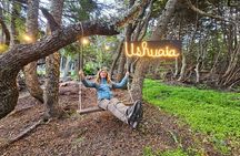 Martial Sunset Experience