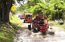 Shore Excursion: Buggy Adventure — Countryside & Local Tasting