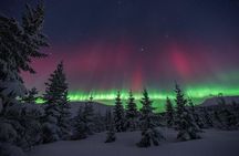 Budget Northern Lights Experience Essential Aurora Chase