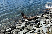 Saxman Native Village & Ketchikan City Tour