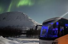 Budget Northern Lights Experience Essential Aurora Chase