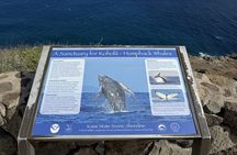 Makapuu Lighthouse Guided Tour with Stops