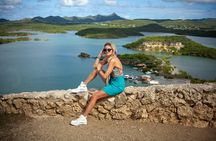 Turtles, Beach and Flamingo in Curacao Private photoshoot Tour