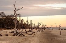 Dolphin Discovery Sunset Cruise