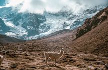 Salkantay Trek to Machu Picchu with BaseCamp – 5 Days / 4 Nights