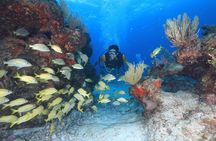 Two Tanks Scuba Diving for Beginners in Cancun