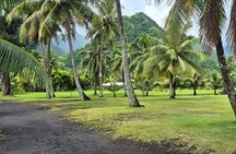 Private Full Day Tahiti Island Tour 7.5 Hours