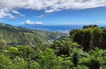 Private Full Day Tahiti Island Tour 7.5 Hours