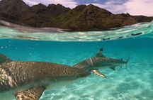 Private Snorkeling excursion on a Polynesian Outrigger