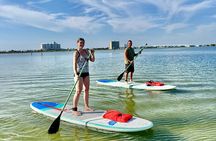 Pensacola Paddle Boarding Lessons and Tours