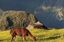Día Completo Privado Desde Urubamba y Ollantaytambo Machu Picchu