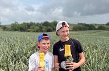 Private Family 4 wheels + Pineapple Farm + River