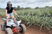 New!!! Fun Day for Kids in Panama City