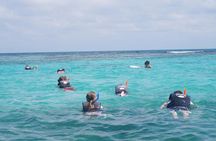 Cancun Speedboat and Snorkel Tour with Thrilling Lagoon Adventure