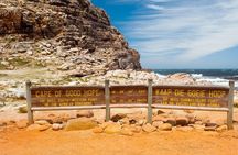 Cape Point Cape of Good Hope and Table Mountain Tour