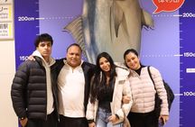 Tokyo: Tuna Auction at Toyosu & Tsukiji Food Walking Tour