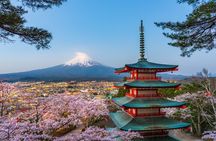 Iconic Mount Fuji & Lake Kawaguchiko Breathtaking Private Tour