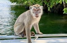 Mauritius: Private 5 island inclusive lunch/drinks and snorkeling
