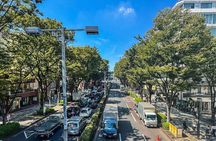 Tokyo Private Guided Day Tour with Private Vehicle Hotel Pickup