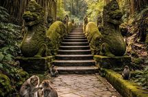 Ubud Private Tour Monkey Forest