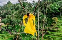 Ubud Private Tour Monkey Forest