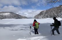Nagano Private Half-Day Snowshoe Hike Nozawa Iiyama Madarao
