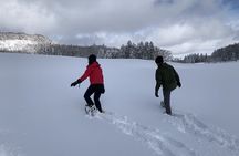 Nagano Private Half-Day Snowshoe Hike Nozawa Iiyama Madarao