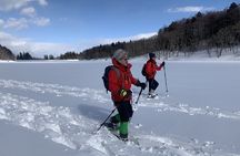 Nagano Private Half-Day Snowshoe Hike Nozawa Iiyama Madarao