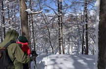 Nagano Private Half-Day Snowshoe Hike Nozawa Iiyama Madarao
