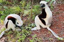 3 Days Andasibe Mantadia Private Tour