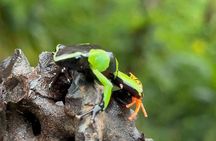 3 Days Andasibe Mantadia Private Tour