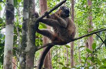 3 Days Andasibe Mantadia Private Tour