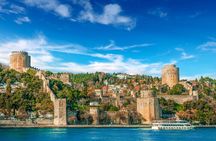 Half-Day Istanbul Old City Semi-Private Tour (Up to 10 Guests)