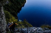 Skageflå Hike and RIB Adventure from Geiranger